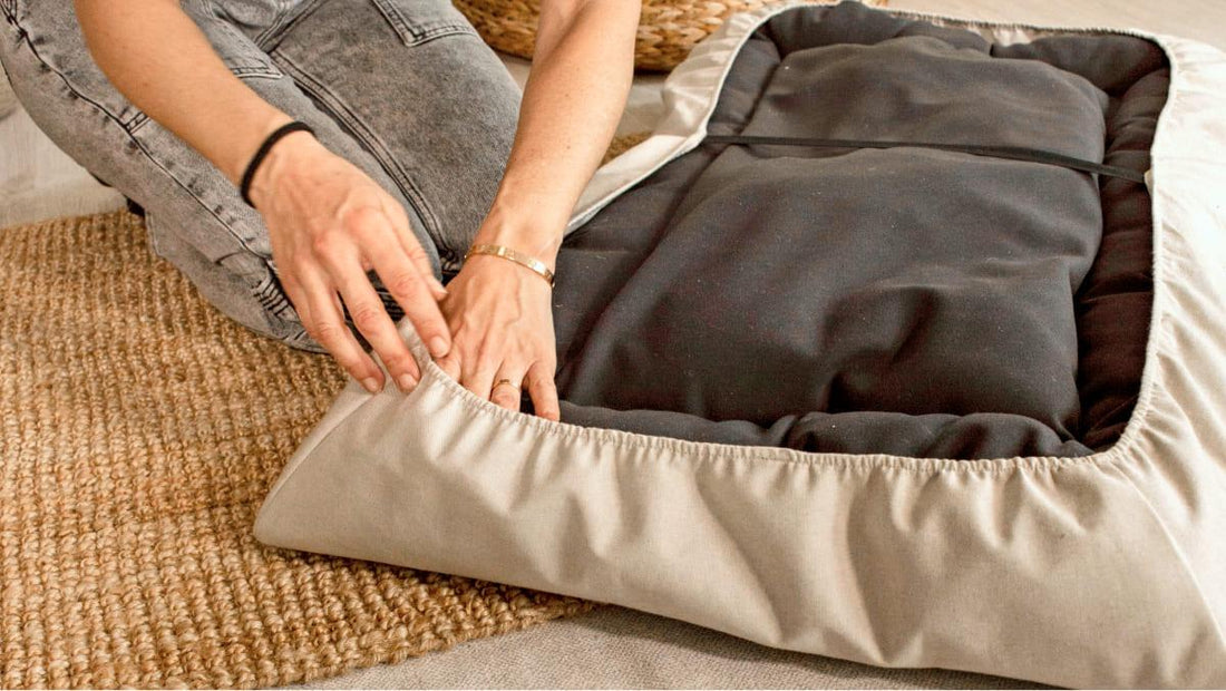 Cómo mantener la cama de tu perro limpia y libre de olores