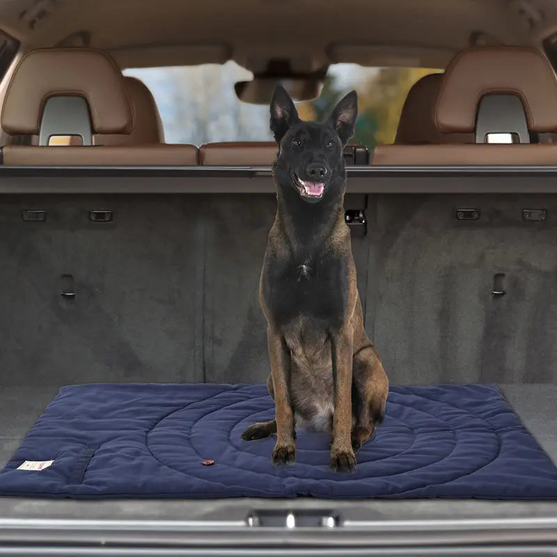 Cama portátil para perros, ONTÓN, impermeable especial monte y acampada