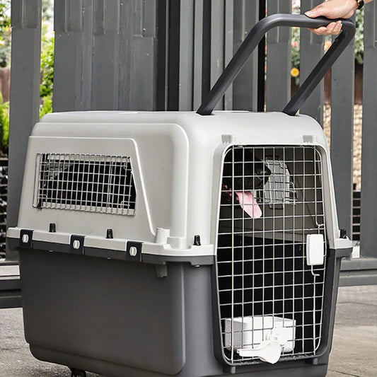 Transportín rígido para perros, TORONTO, con ruedas desmontables, homologado y apto para las compañías aéreas