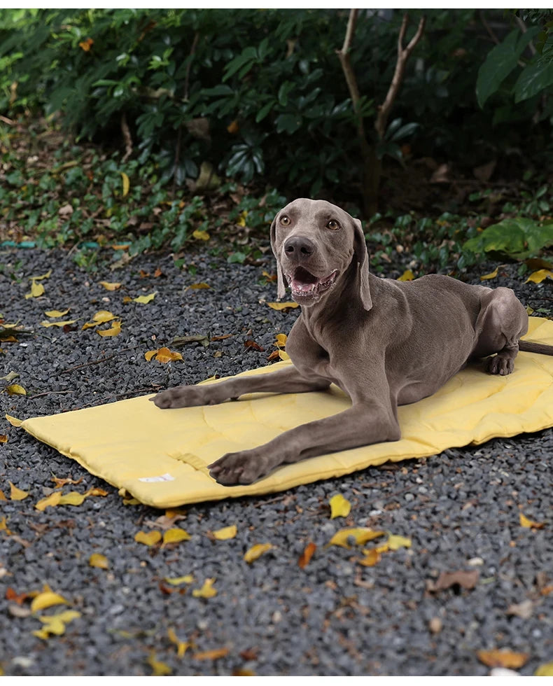 Cama portátil para perros, ONTÓN, impermeable especial monte y acampada