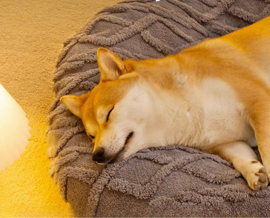 Cama para perros, IRLANDA, desenfundable - Camadog