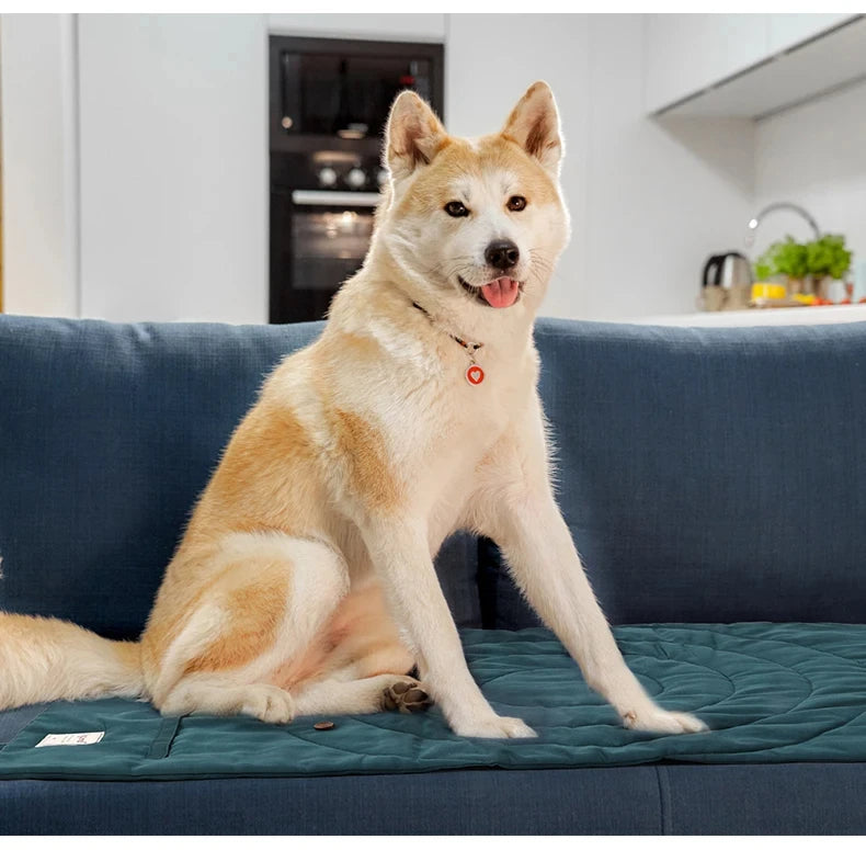 Cama portátil para perros, ONTÓN, impermeable especial monte y acampada