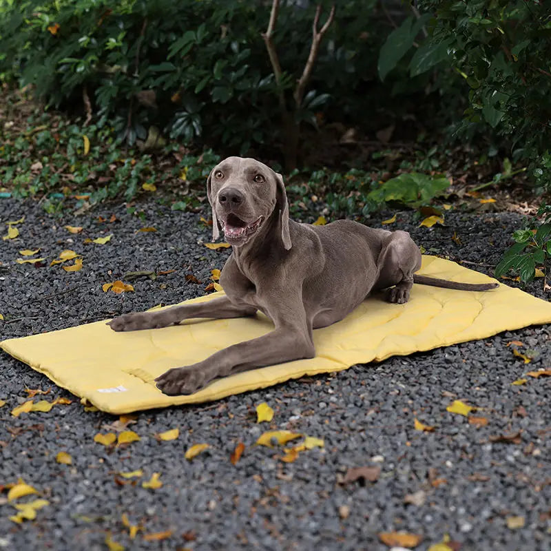 Cama portátil para perros, ONTÓN, impermeable especial monte y acampada