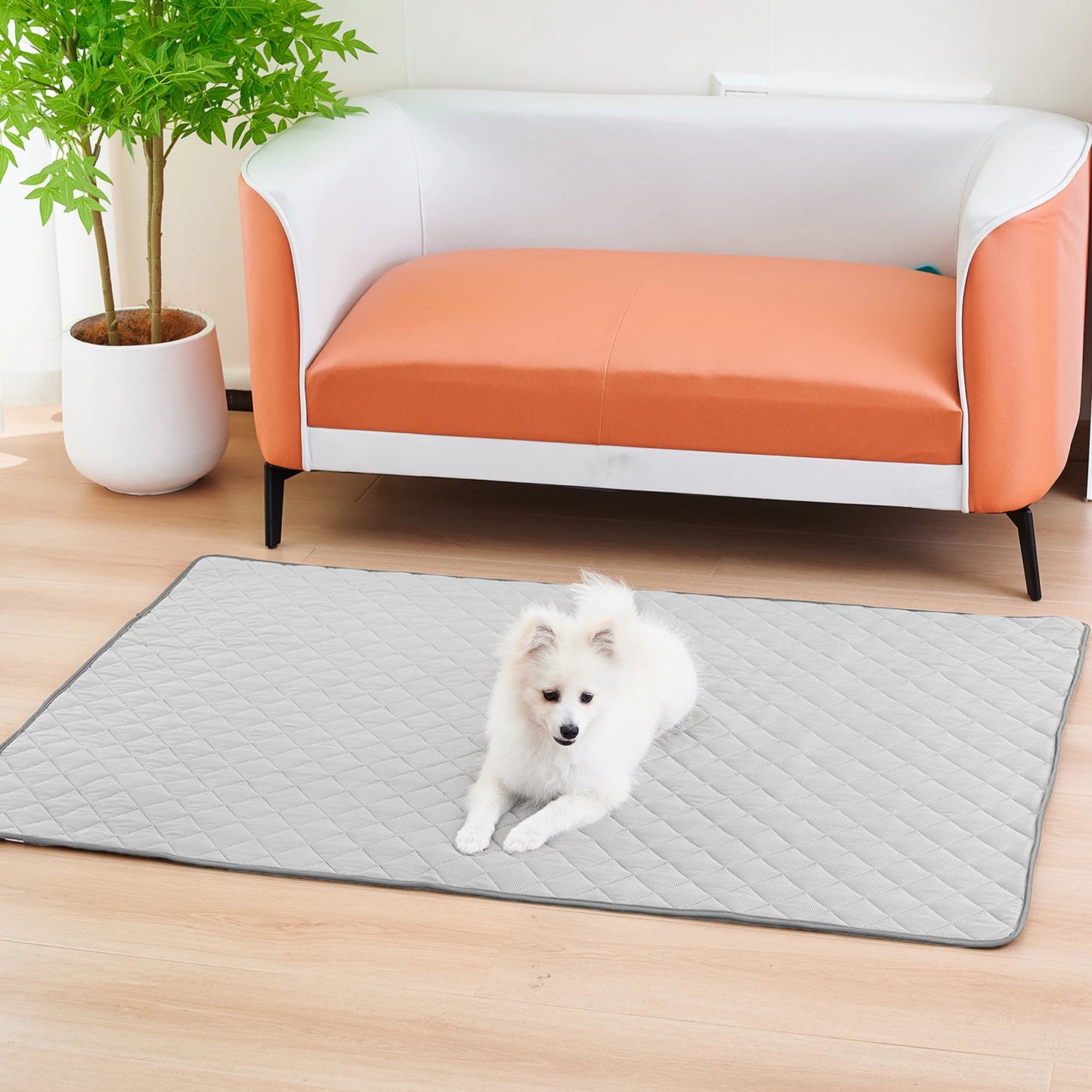 Cama refrescante para perros, MILKA, acolchado , absorbente, especial primavera-verano