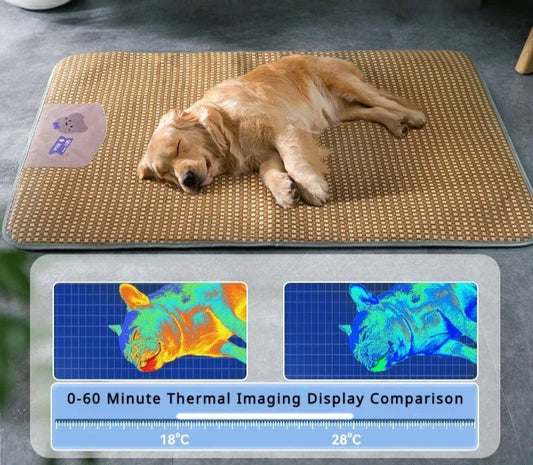 Cama para perros refrescante, FRIGO, de ratán.