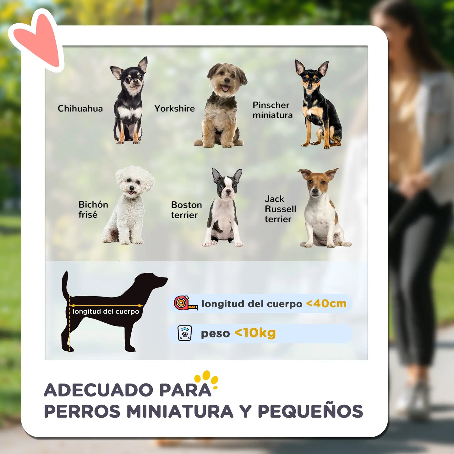 Carrito para perros plegable con vagón desmontable ,JUMBO, 4 puertas con cremallera, 2 correas de seguridad y cojín - Camadog