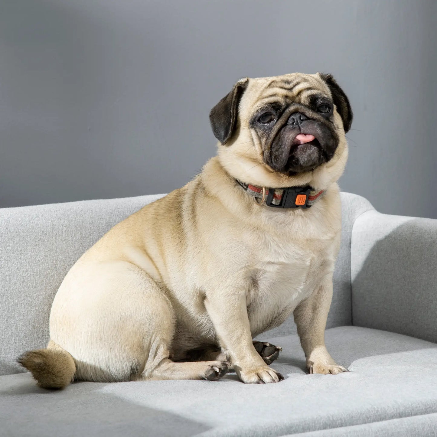 Sofá para perros medianos SANTIAGO, con patas de madera y 20 kg de soporte 82x54x36cm gris - Camadog