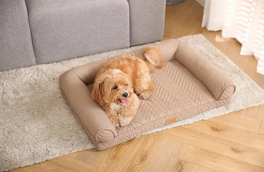 Beneficios de las camas ortopédicas para perros
