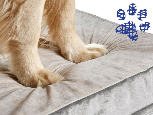 Beneficios de las camas ortopédicas para perros con problemas articulares