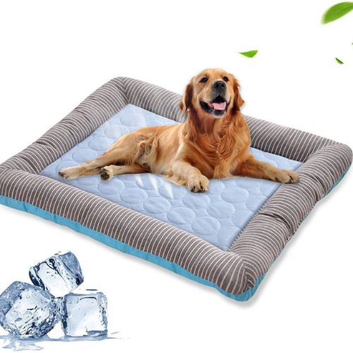 Cómo Funciona una Cama Refrescante para Perros y Por Qué Deberías Tener Una