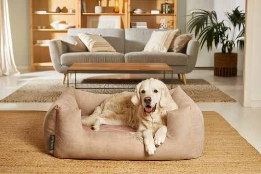 Como elegir la medida adecuada para la cama de tu perro